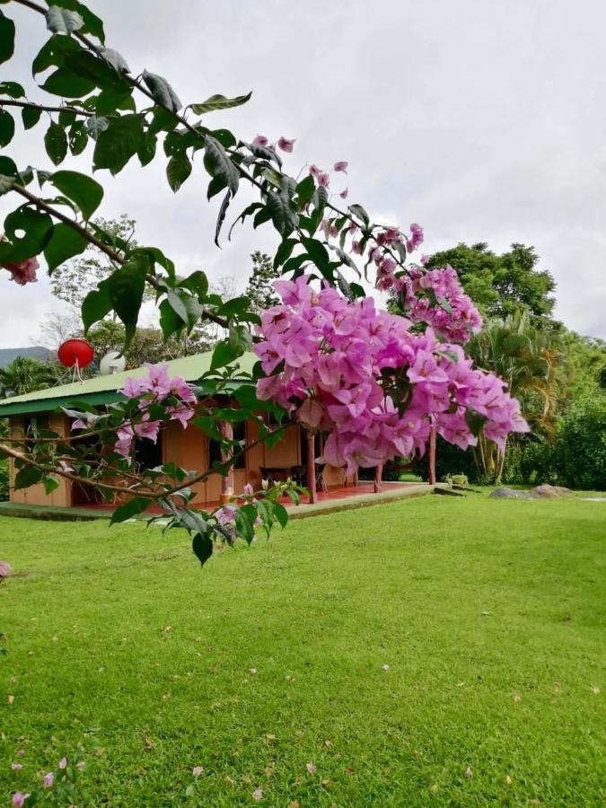 Casita El Jardin Villa Bijagua Eksteriør billede