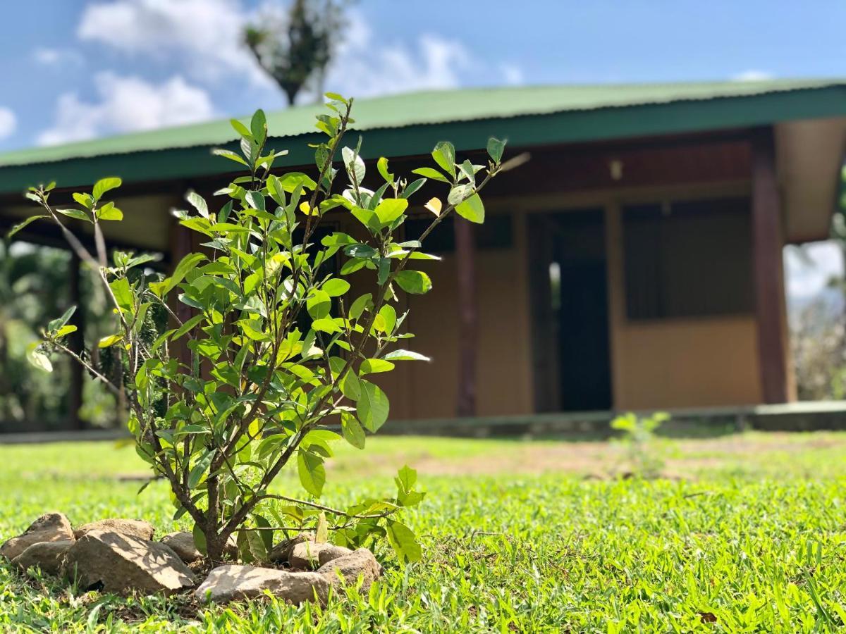 Casita El Jardin Villa Bijagua Eksteriør billede
