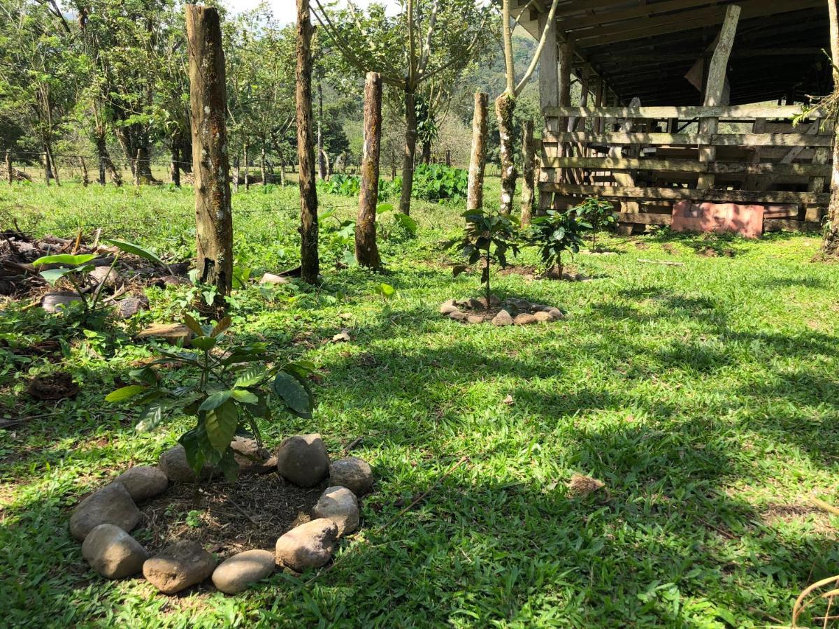 Casita El Jardin Villa Bijagua Eksteriør billede