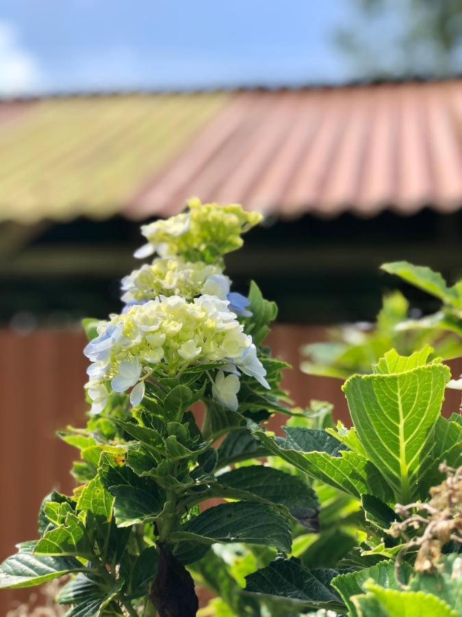 Casita El Jardin Villa Bijagua Eksteriør billede